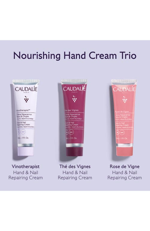 Caudalíe Nourishing Hand Cream Trio Set $27 Value In Transparent