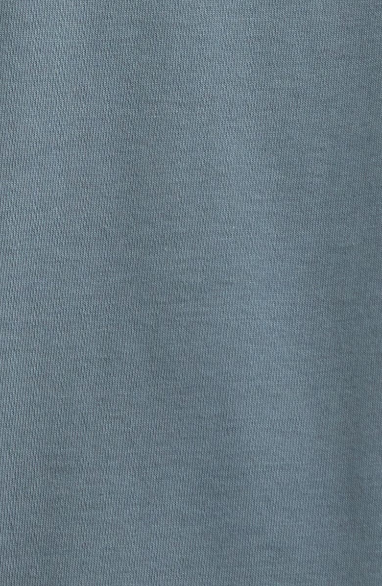 Carhartt Work In Progress Locked Organic Cotton Graphic T-Shirt, Alternate, color, Cozy Blue