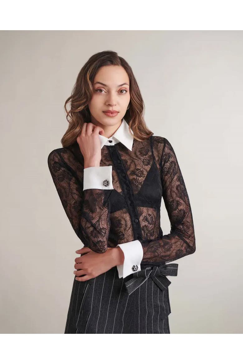 Yvonna Long Sleeve Embroidered Lace Shirt, Alternate, color, Black
