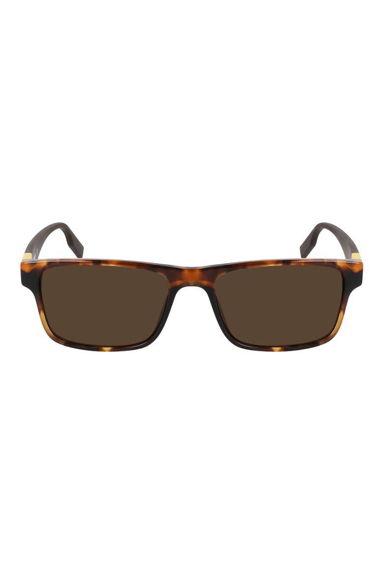 Rise Up 55mm Sunglasses, Main, color, AMBER TORTOISE