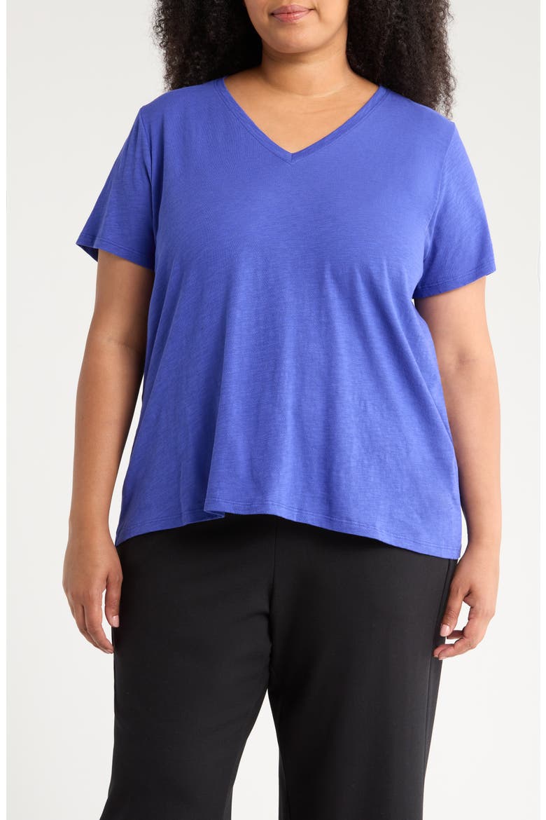 Easy V-Neck Organic Cotton Slub T-Shirt, Main, color, ROYAL