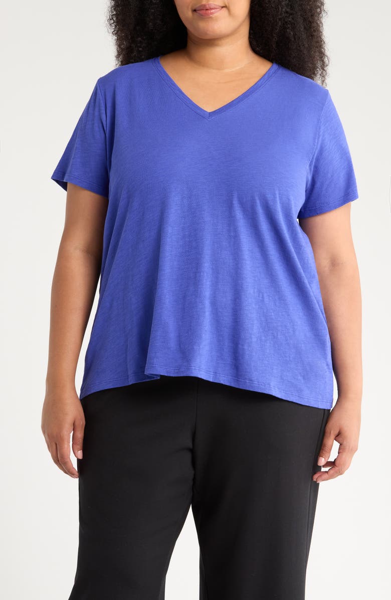 Eileen Fisher Easy V-Neck Organic Cotton Slub T-Shirt, Main, color, Royal
