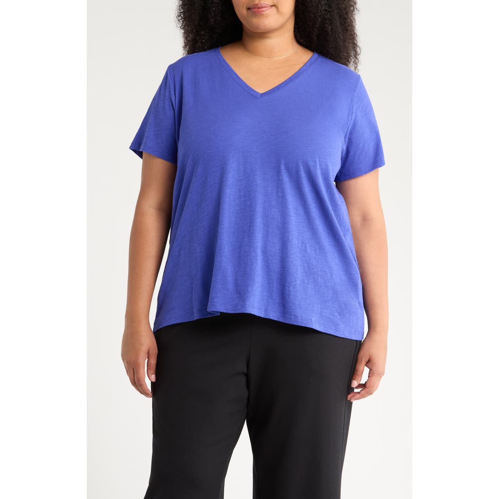 Eileen Fisher Easy V-neck Organic Cotton Slub T-shirt In Blue