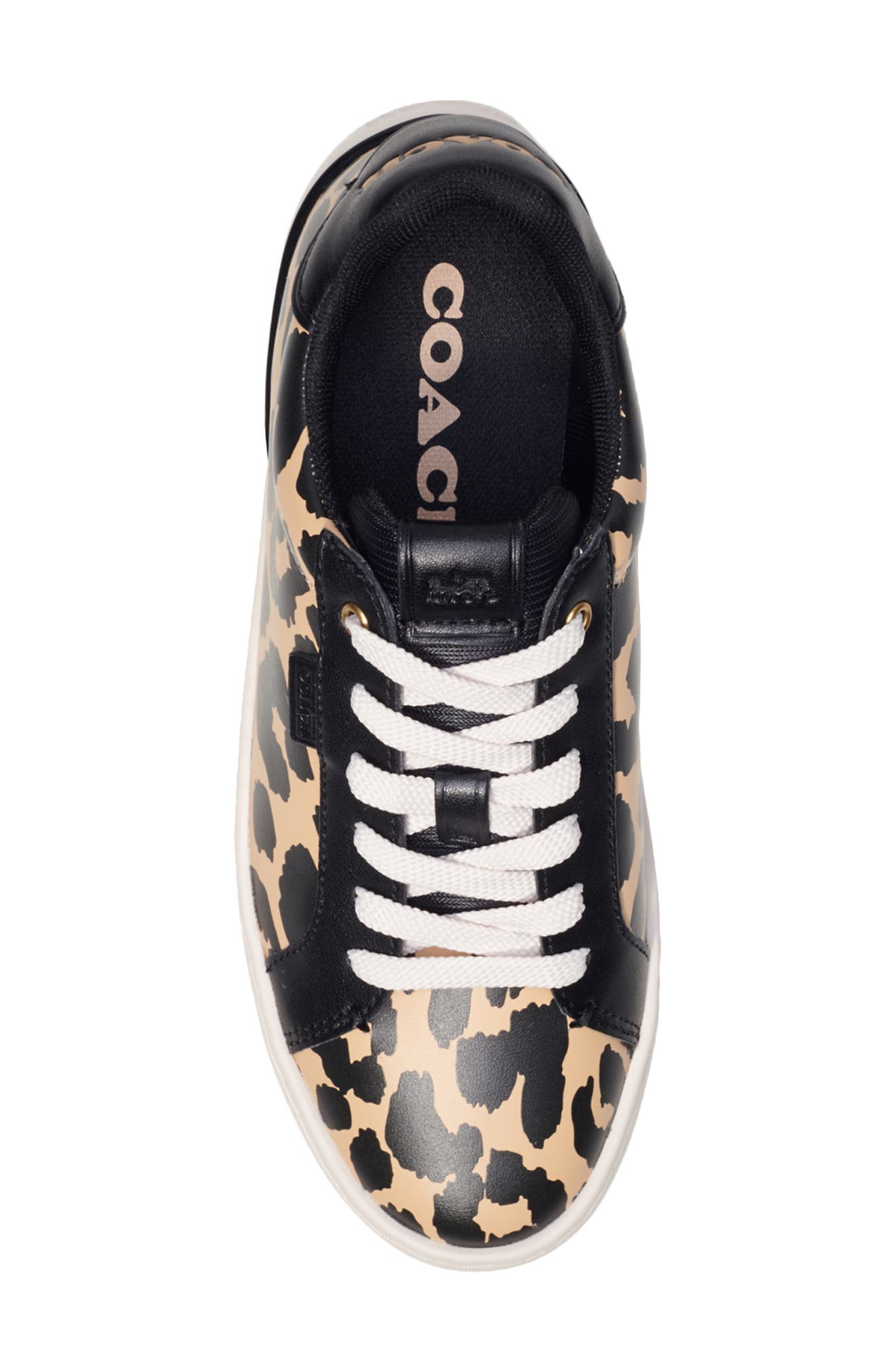 Lowline Zebra Print Sneaker, Alternate, color, LEOPARD