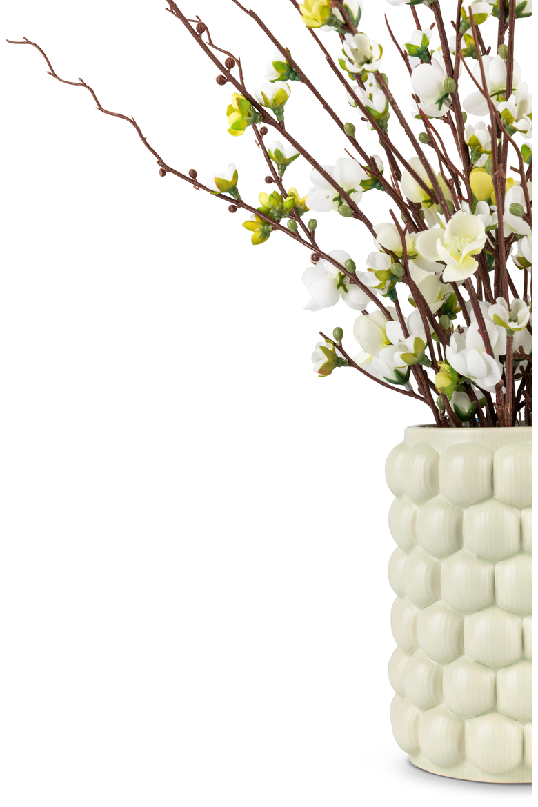 Elettra Quince Bud Arrangement, Alternate, color, Snow