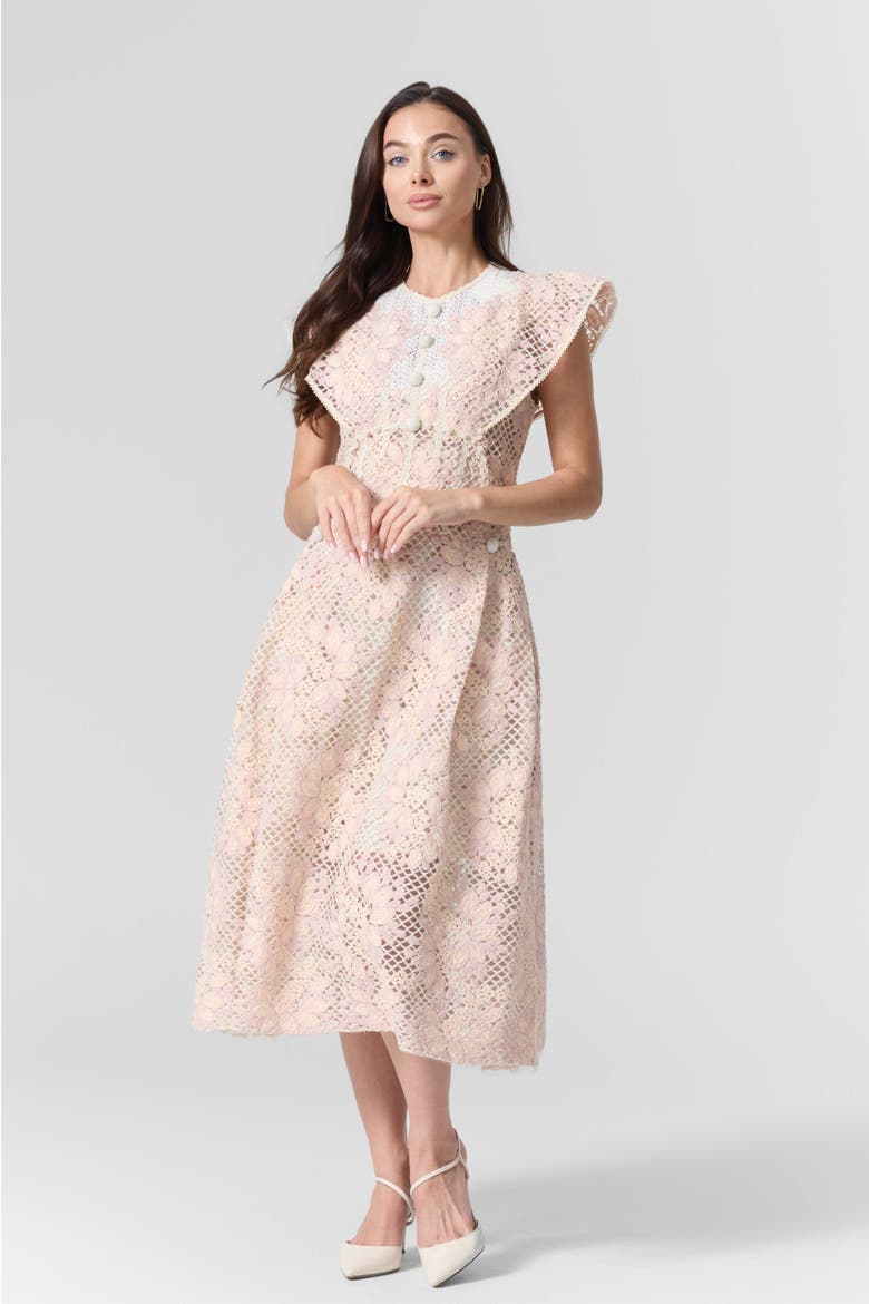 Pink Lace Embroidered Midi Dress, Alternate, color, light pink