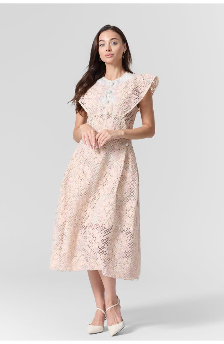 Le Fafo Pink Lace Embroidered Midi Dress, Alternate, color, Light Pink