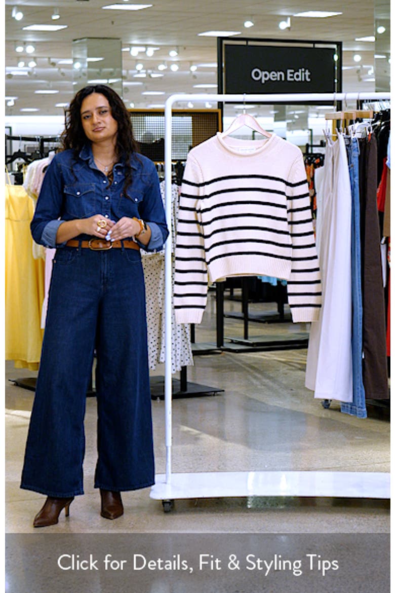 Stripe Roll Neck Cotton Blend Sweater video