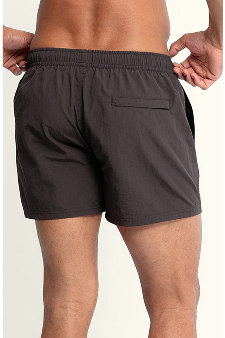 Sebastian Solid 4-Inch Nylon Swim Trunks, Alternate, color, MOLINO/ BROWN