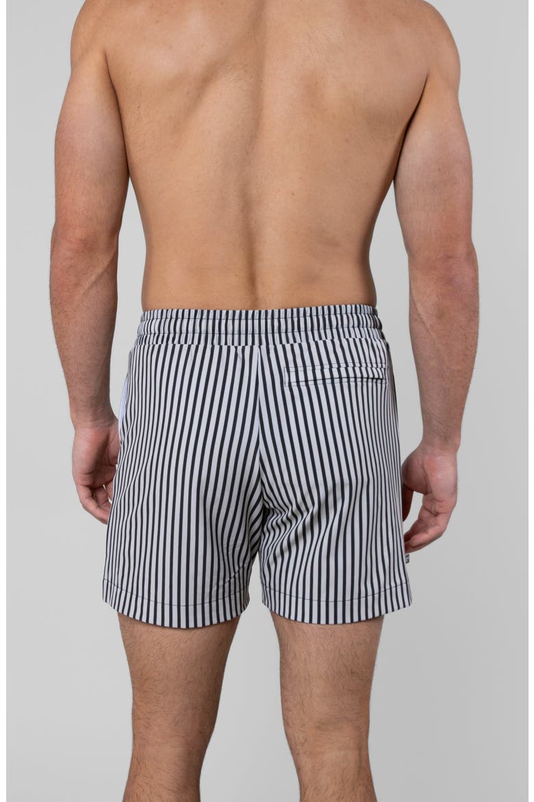 Espresso Swim Trunk, Alternate, color, Espresso