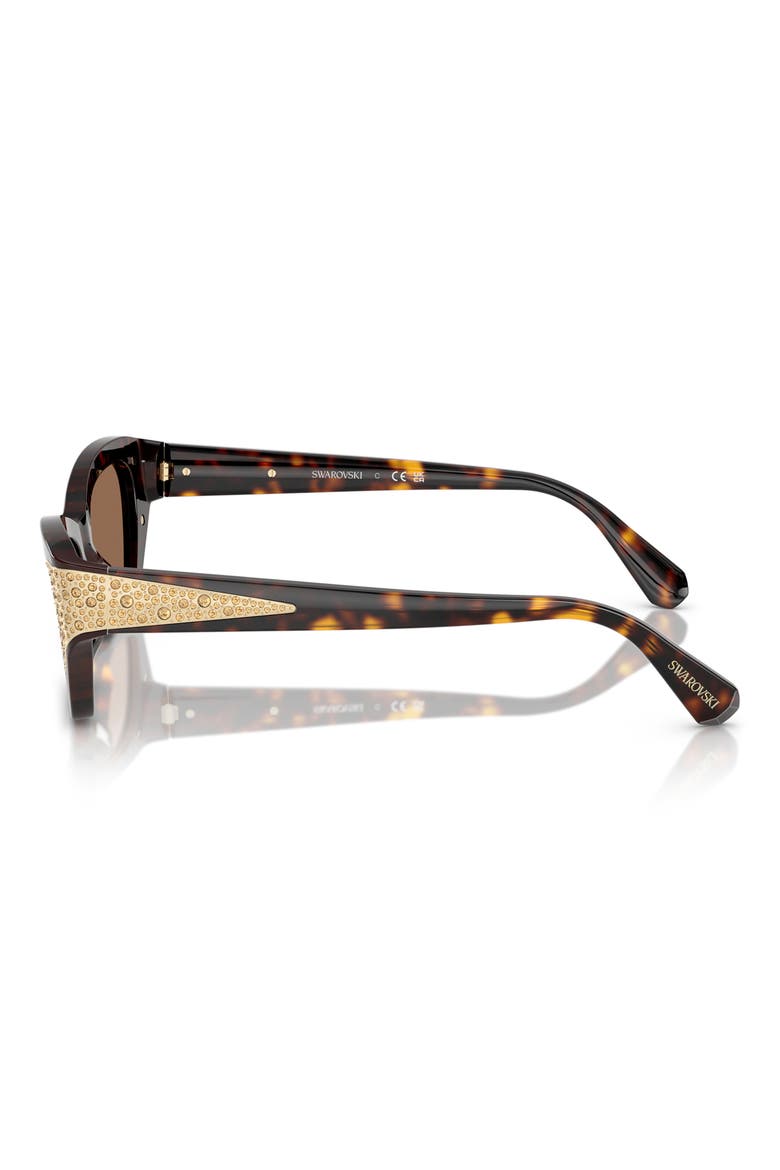 50mm Cat Eye Sunglasses, Alternate, color, DARK HAVANA