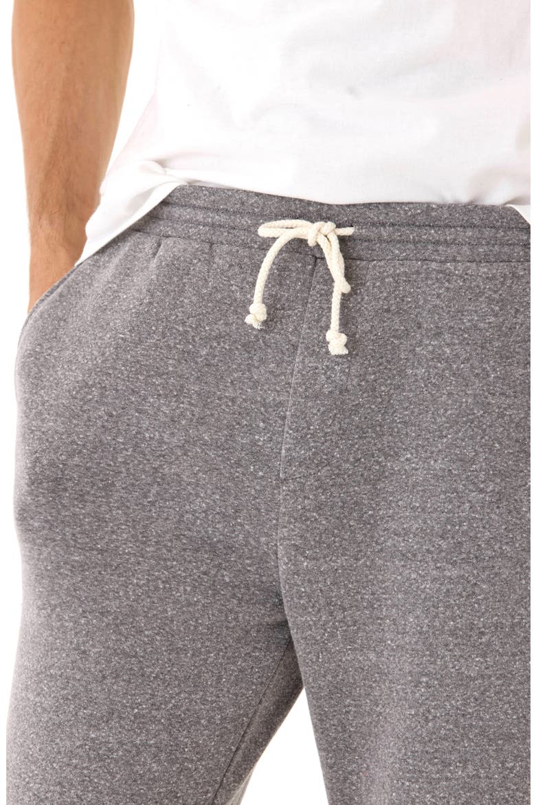 Core Triblend Fleece Joggers, Alternate, color, HEATHER GREY