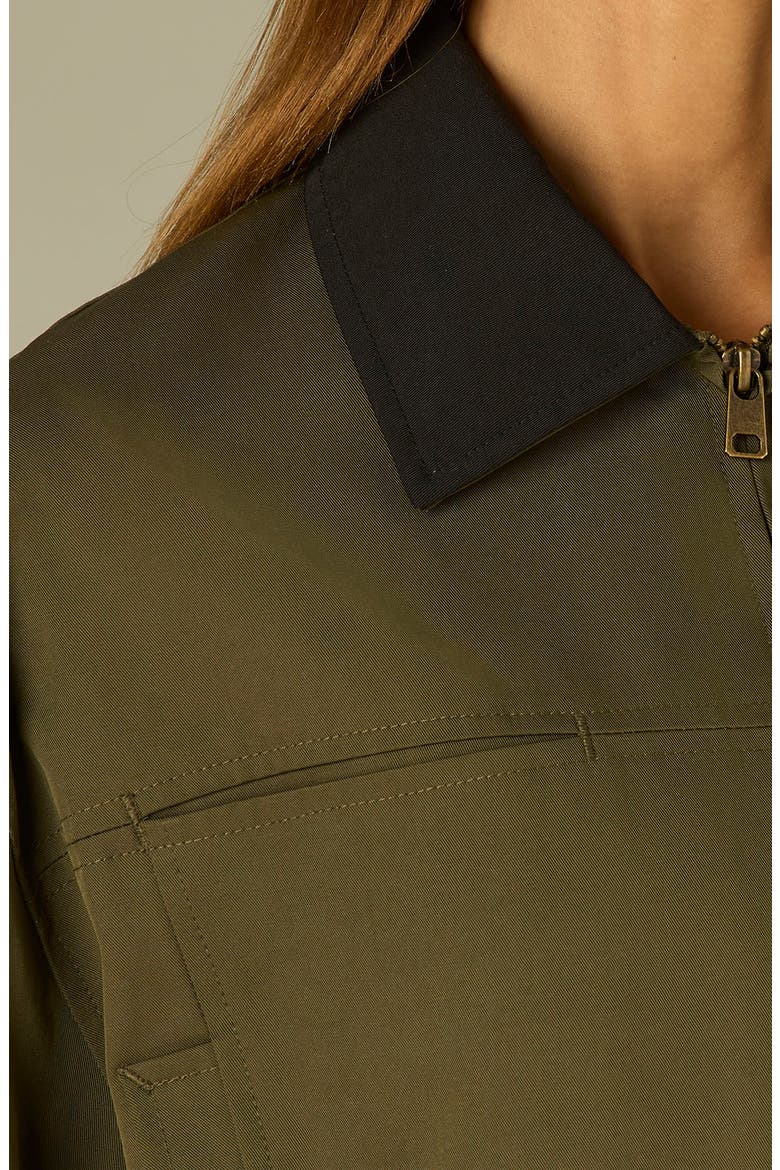 Contrast Collar Peplum Jacket, Alternate, color, FOREST MOSS