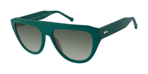 Colors In Optics Drew Sunglasses In Green