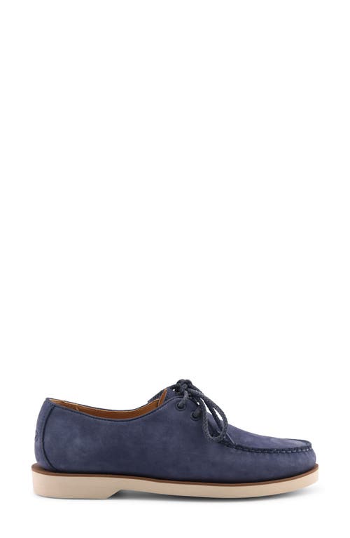 Sperry Captains Oxford