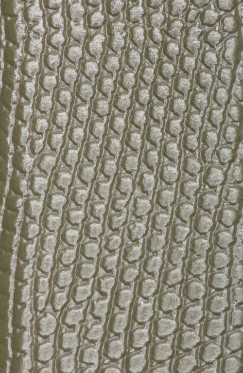 Steve Madden Lizard Embossed Faux Leather Belt In Brown