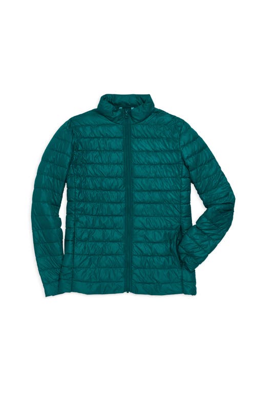 Primary Grown-ups Puffer Jacket In Spruce