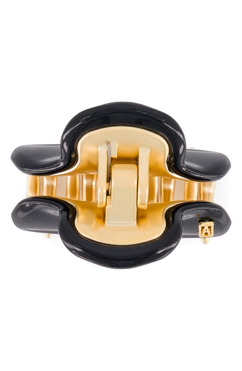 Alexandre de Paris Hair Clip, Alternate, color,