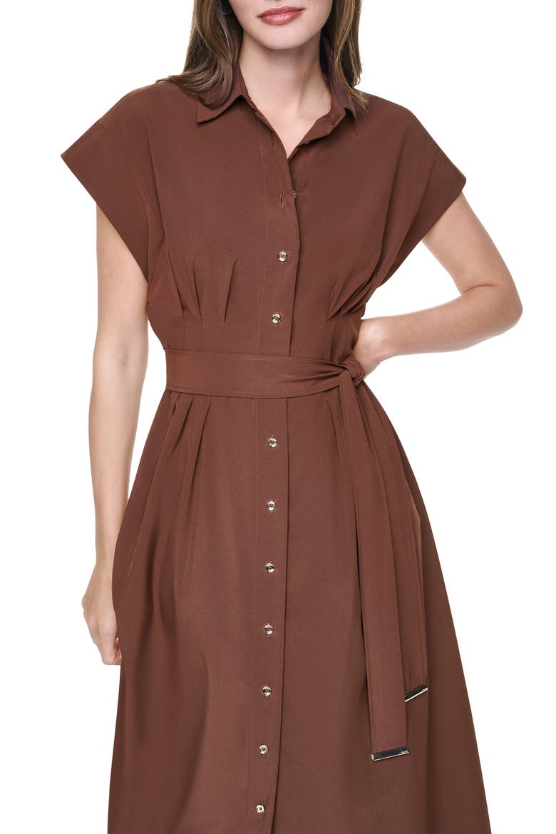 Belted Midi Shirtdress, Alternate, color, JAVA
