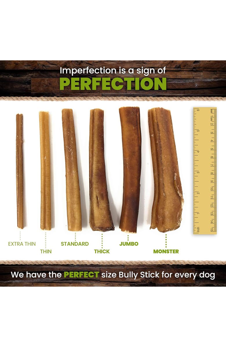 Sancho & Lola's Closet 6 Inch Jumbo Bully Sticks for Dogs, 5 Count, Alternate, color, Multicolored