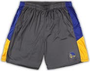 FANATICS Men's Fanatics Branded Gray Golden State Warriors Big & Tall Shorts
