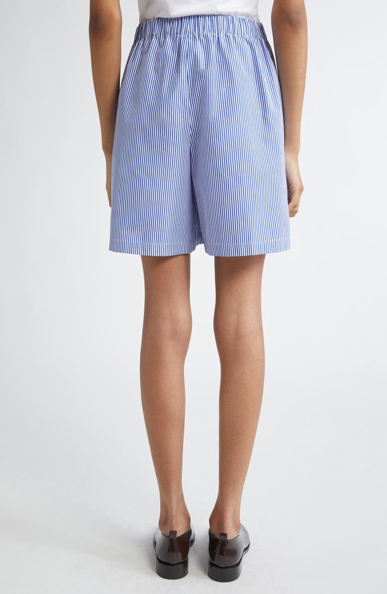 Lafayette 148 New York Riverside Crinkle Stripe Shorts, Alternate, color,