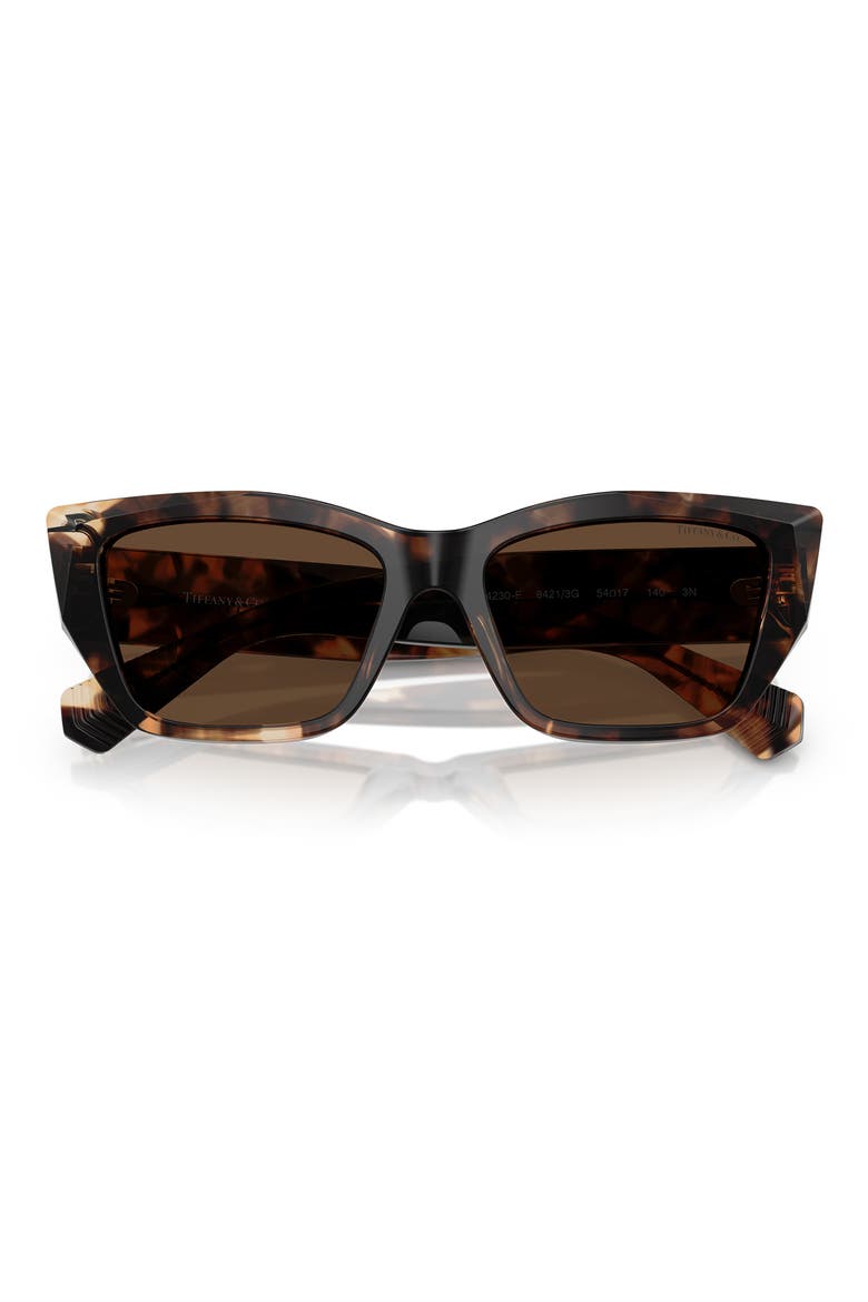 54mm Cat Eye Sunglasses, Alternate, color, BROWN