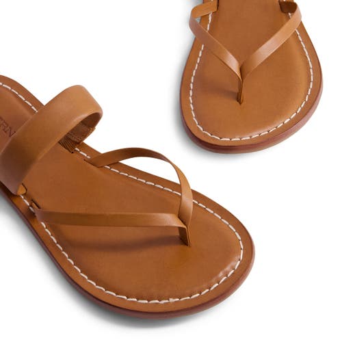 Bernardo Footwear Leia Thong Sandal In Luggage