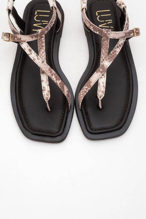 Forever & Always Shoes Morgana Leather Thong Sandal In Brown