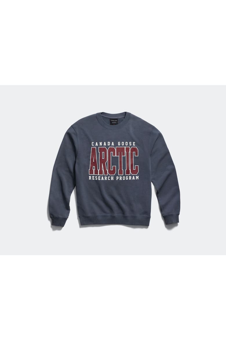 Loon Arctic Sweatshirt, Alternate, color, Dusk Blue