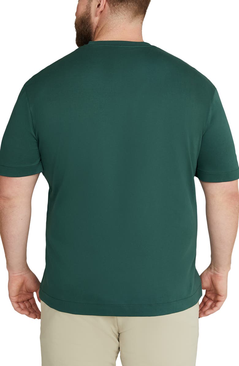 Johnny Bigg Modern Fit Organic Cotton T-Shirt, Alternate, color, 