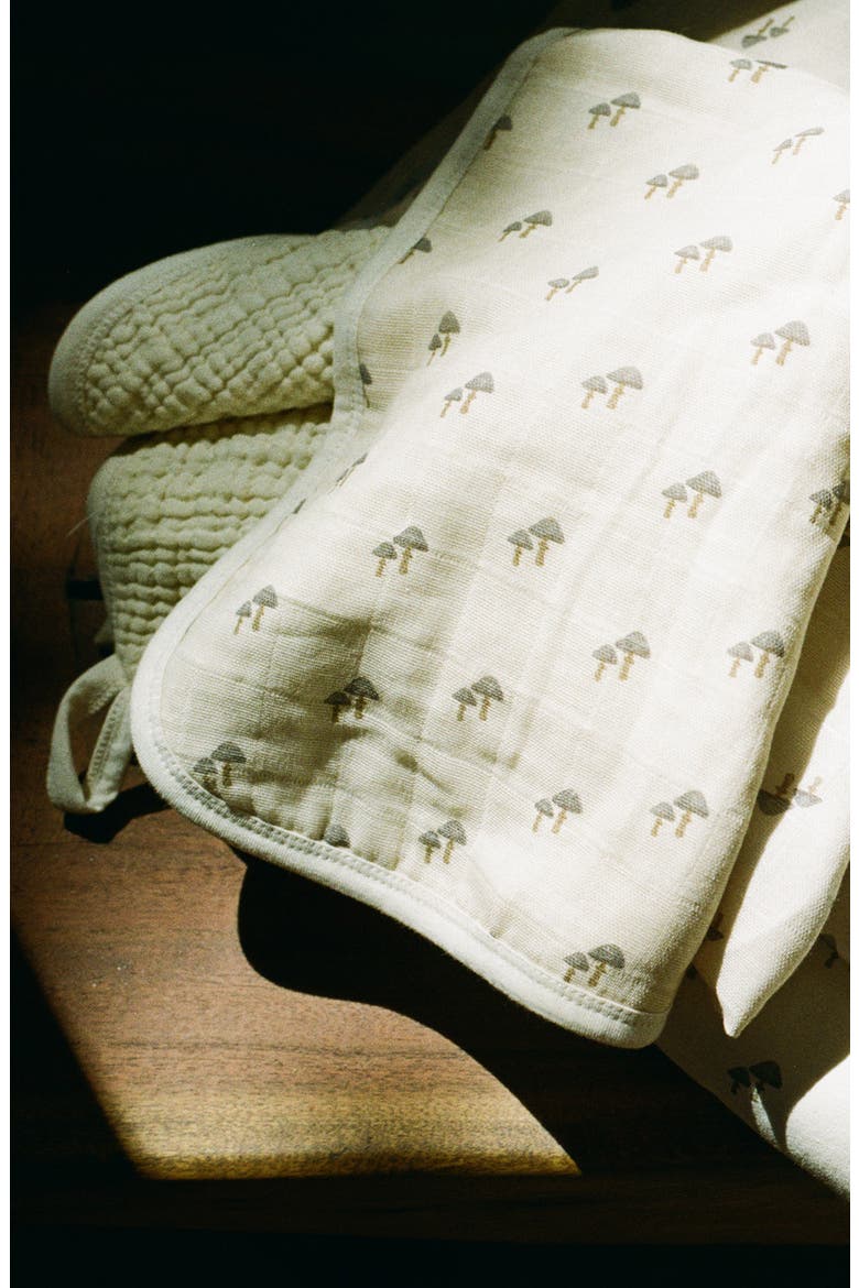 Assorted 2-Pack Organic Cotton Muslin Bibs, Alternate, color, MUSHROOMS/SQUIRRELS