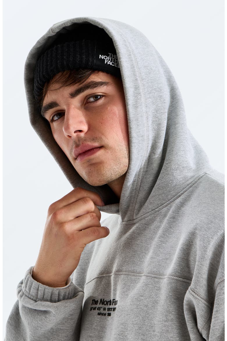 Axys Graphic Hoodie, Alternate, color, TNF PALE GREY HEATHER
