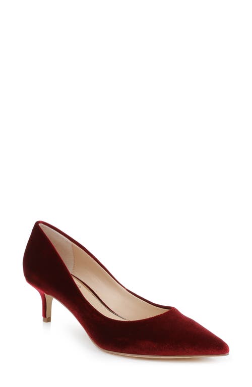 Jewel Badgley Mischka Enola Pointed Toe Kitten Heel Pump