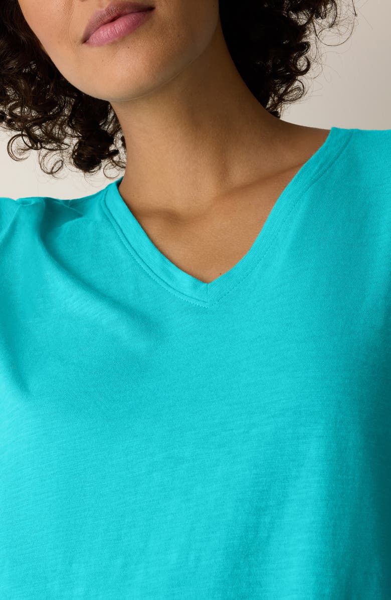 Eileen Fisher Easy V-Neck Organic Cotton T-Shirt, Alternate, color, Aquarius