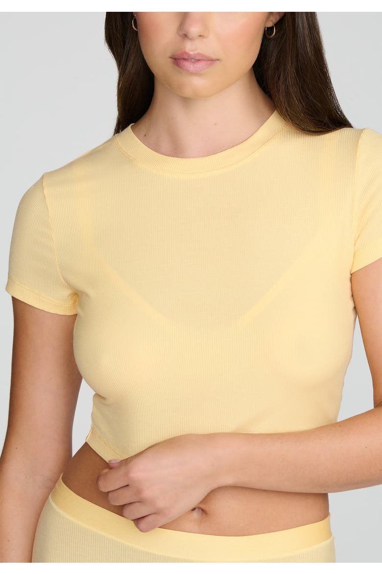 The Baby Tee, Alternate, color, HONEY