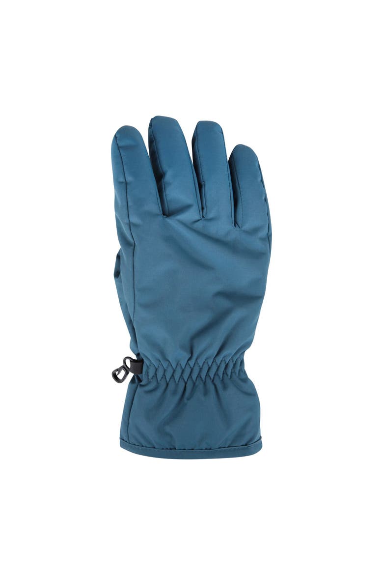 Ski Gloves, Main, color, Dark Teal