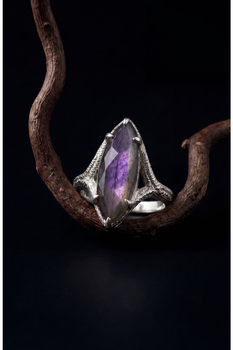 Raven Talon Gemstone Ring, Alternate, color, METALLIC SILVER/ LABARODITE