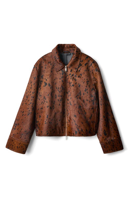 MANGO Animal Print Genuine Calf Hair Jacket in Medium Brown  product