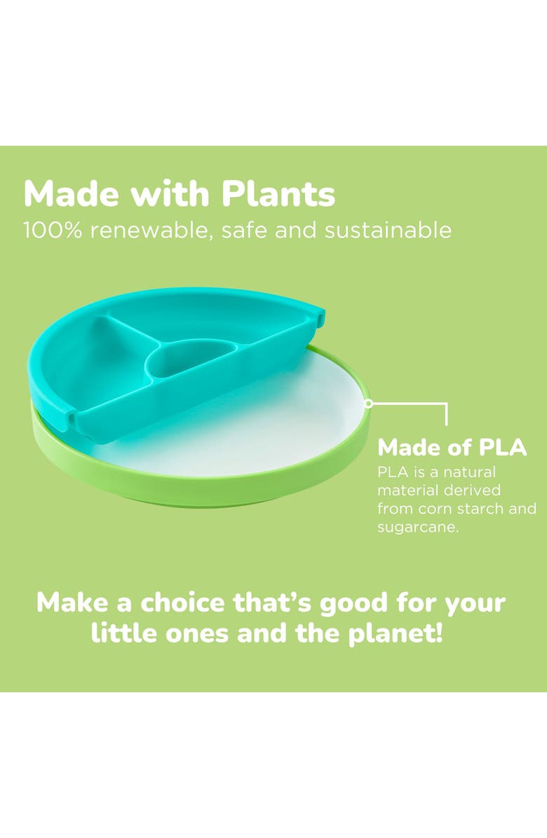 OMIE Easy Scoop Plate Set, Alternate, color,