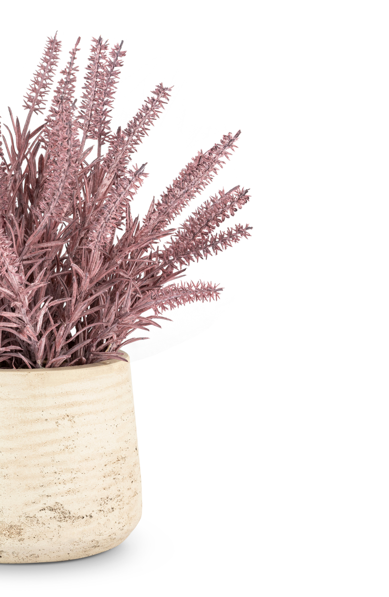 CocoBella Esme Purple Wheatgrass, Alternate, color, Purple