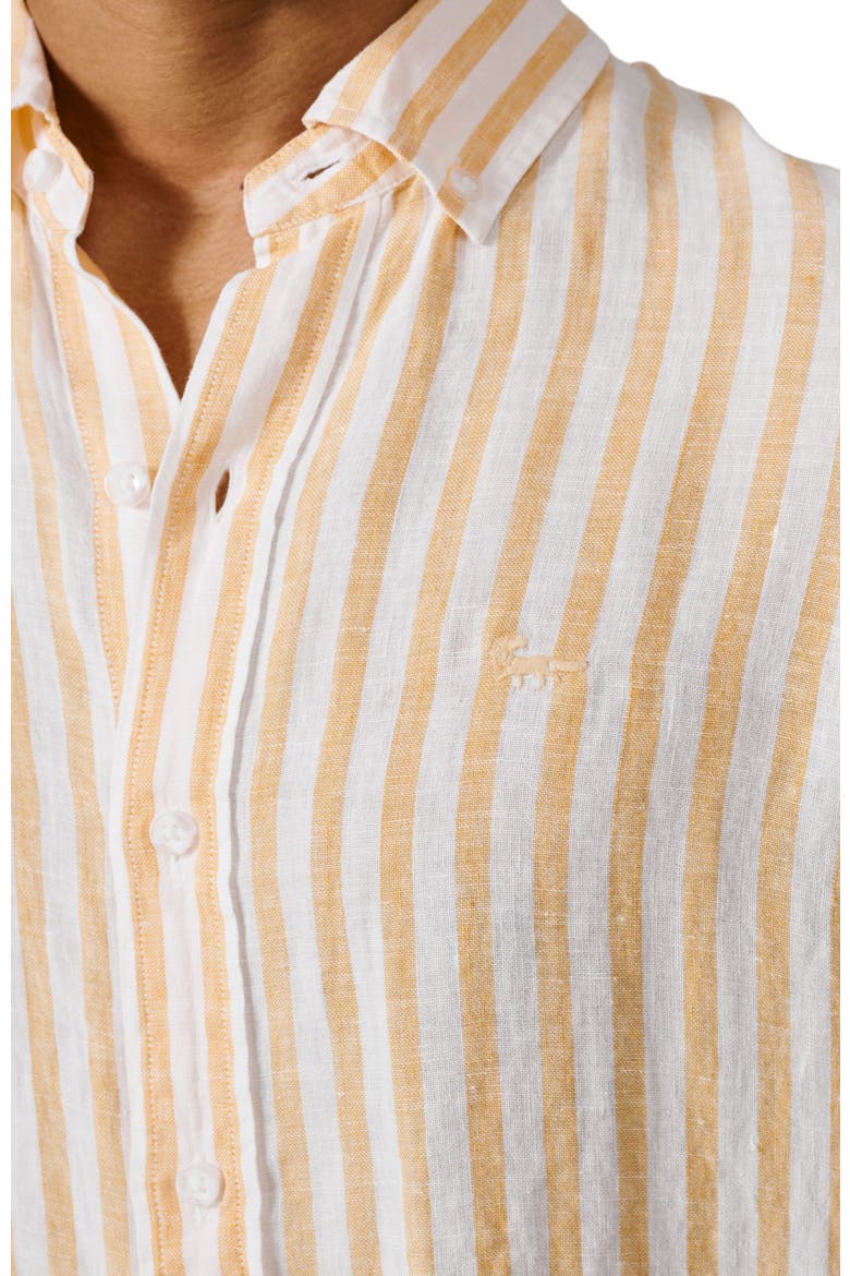 Worlaby Linen Long Sleeve Shirt, Alternate, color, Yellow Stripe