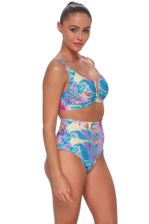 Sunsets Hannah High Waist Bikini Swim Bottoms In Multi