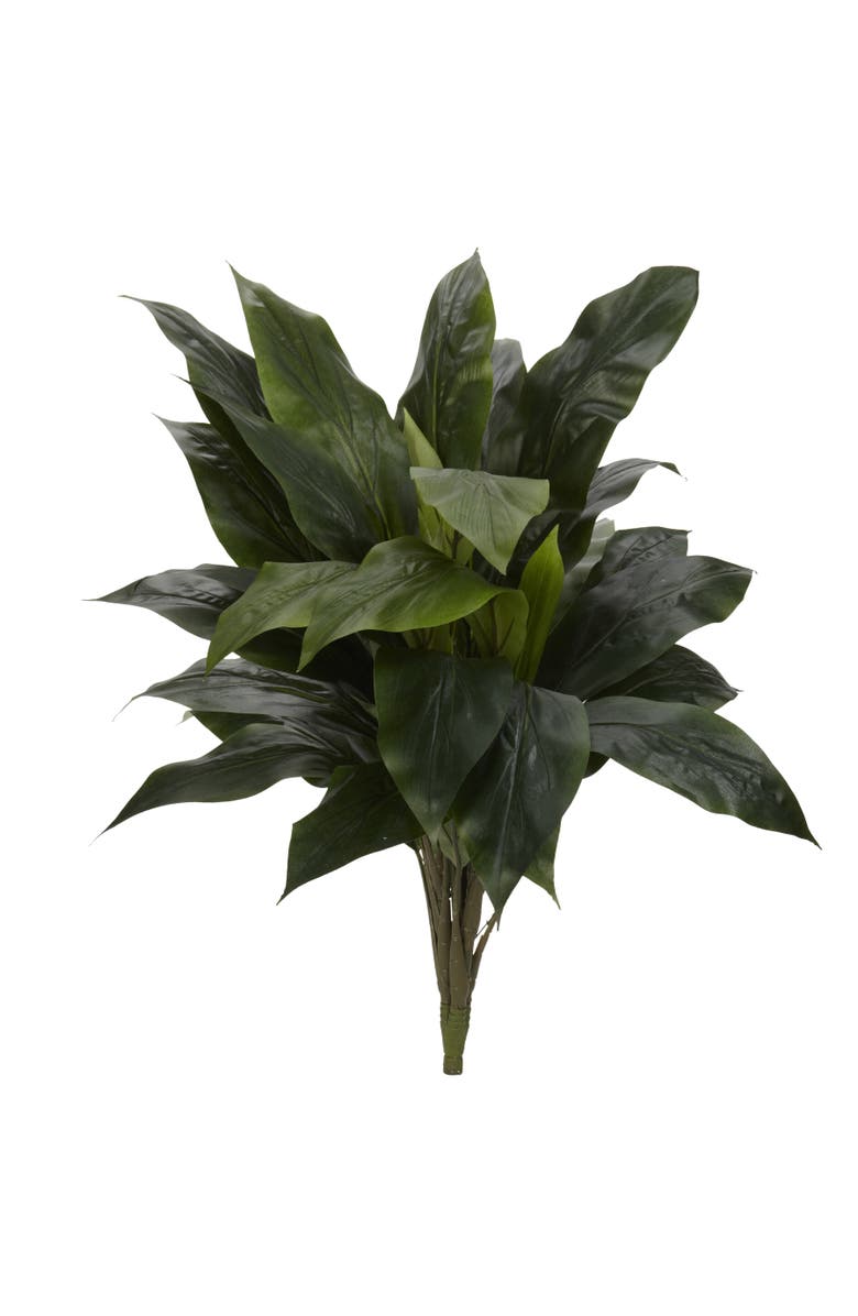 NEARLY NATURAL 32-in Green Cordyline Artificial Plant, Main, color, Green