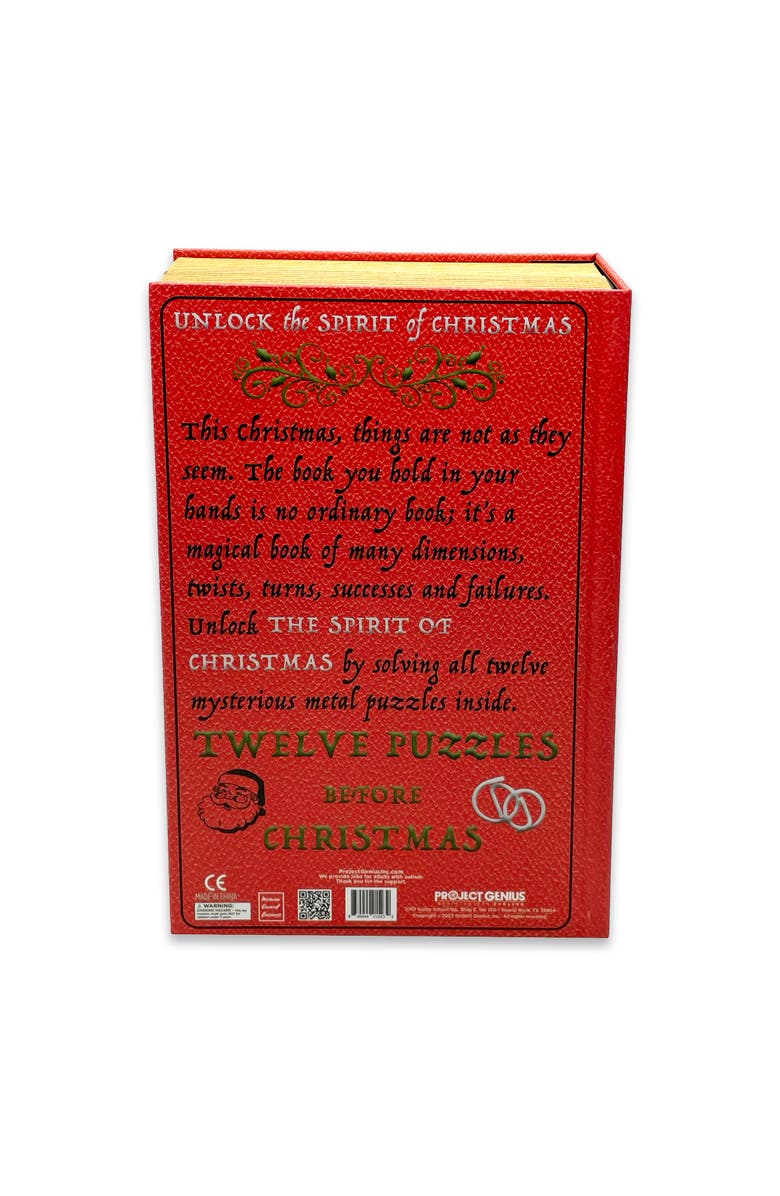 Project Genius 12 Puzzles Before Christmas Advent Calendar, Alternate, color, 