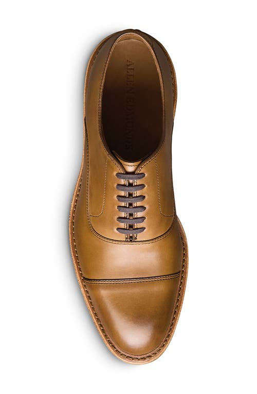 Allen Edmonds Park Verse Oxford In Walnut