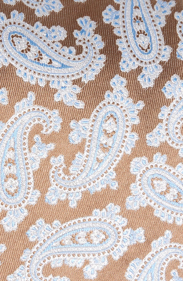 David Donahue Paisley Silk Tie, Alternate, color, Dune