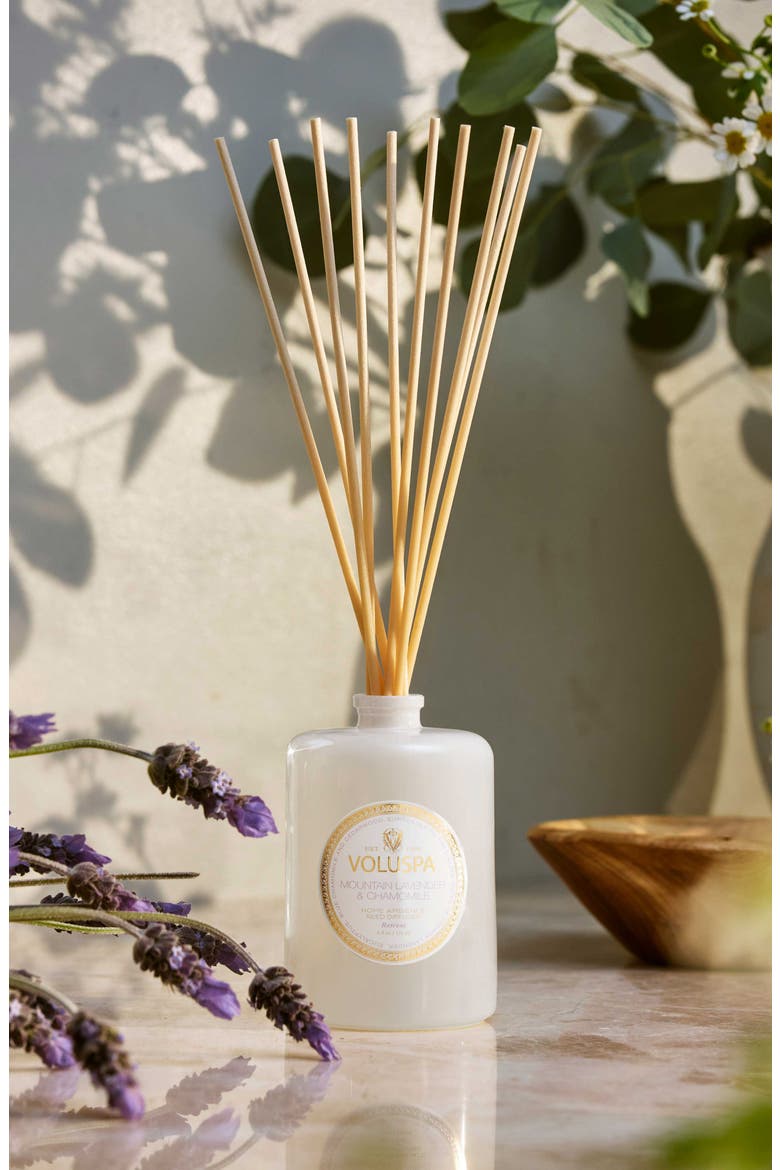 Mountain Lavender & Chamomile Reed Diffuser, Alternate, color, MOUNTAIN LAVENDER & CHAMOMILE