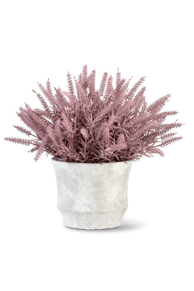 Casper Wheatgrass Arrangement, Main, color, Purple