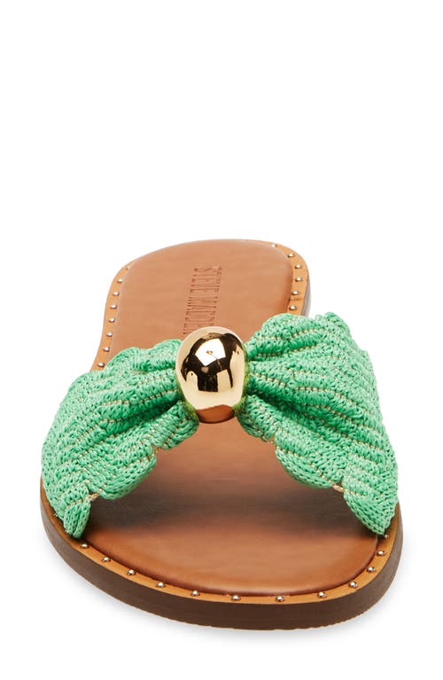 Steve Madden Dipsy Slide Sandal
